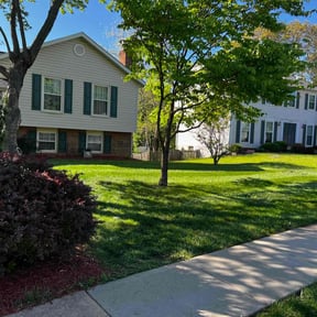 landscape maintenance by A Hopkins Lawn Team reviewed on November 27, 2025