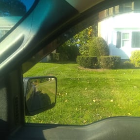 Bush Trimming by Show me the hardscaping and lawns  reviewed on August 21, 2025