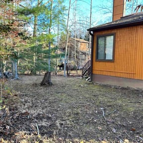 Leaf Removal by Aurora lawn and landscaping reviewed on August 5, 2026