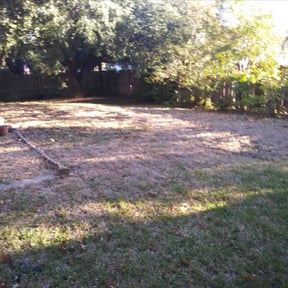 Bush Trimming by Blessed Lawn Care Services & Odd Jobs reviewed on August 17, 2025