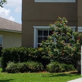 Bush Trimming by K.N.J. Preservation reviewed on August 21, 2025