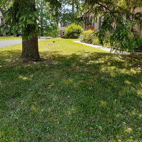 Leaf Removal by Lowkey Mowing reviewed on September 24, 2025