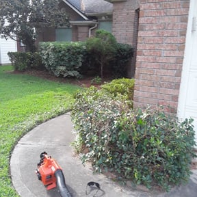 Bush Trimming by Jose Martinez landscape services reviewed on August 15, 2025