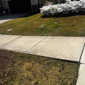 Bush Trimming by Valencia Landscaping reviewed on April 23, 2026