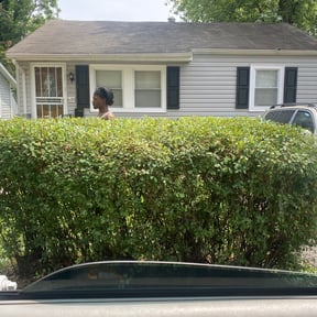 Bush Trimming by HLC Management reviewed on August 16, 2025