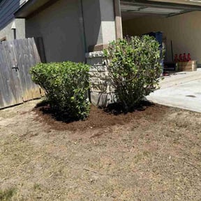 Bush Trimming by JLC Landscape and Lawn Care reviewed on August 17, 2025