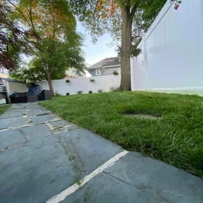 turf maintenance by Dwayne Browne LLC reviewed on July 21, 2025