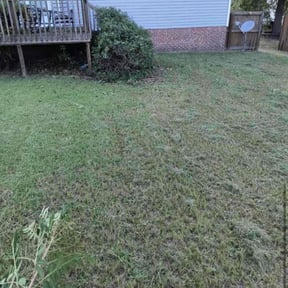 Bush Trimming by Green Earth Lawn and snow LLC reviewed on October 23, 2025