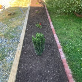 Flower Bed Weeding by J&J landscaping and tree care services 48448 reviewed on August 15, 2025