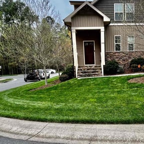 yard maintenance by Daniel campos reviewed on April 19, 2024