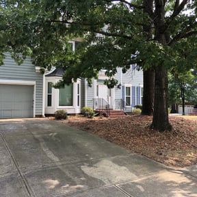 Bush Trimming by W&D Landscaping And Plowing reviewed on August 18, 2025