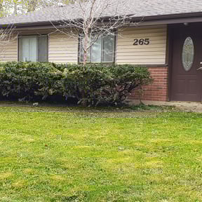 Bush Trimming by Don's Landscaping LLC reviewed on August 21, 2025