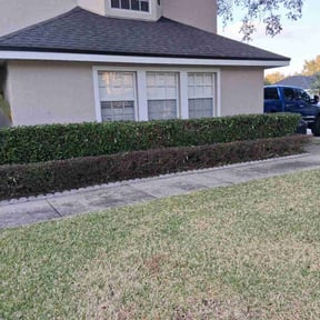 Bush Trimming by King of Lawn Care LLC reviewed on April 26, 2022