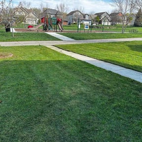 lawn care by Javan Lopez reviewed on March 13, 2024