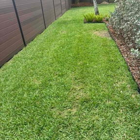lawn service by A+ Lamonds lawn&landscape reviewed on August 17, 2025