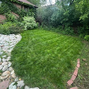 landscaping services by Forsyth Lawn Care reviewed on August 15, 2025