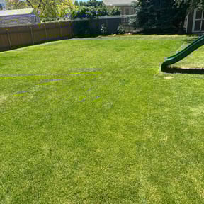 landscaping by Shelveen Prakash reviewed on August 21, 2025