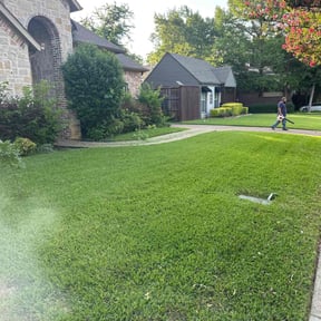 yard maintenance by Austin's Earth Care reviewed on August 16, 2025