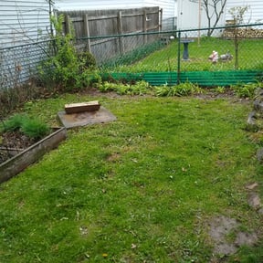 Leaf Removal by Ez Lawn care and maintenence reviewed on October 3, 2025