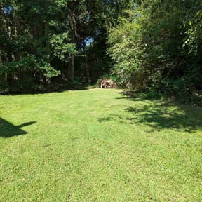 residential landscaping by Grass Care Expects reviewed on August 21, 2025