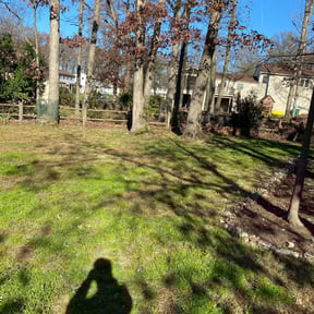 Leaf Removal by Paul and Paul lawn service and landscaping reviewed on September 28, 2025