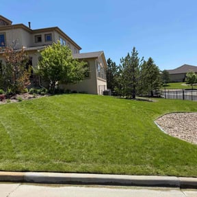 lawn care by Let Us Mow reviewed on August 18, 2025