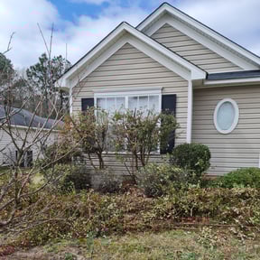 Bush Trimming by PizzaCuts reviewed on August 19, 2025