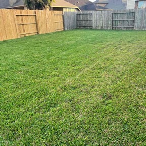 gardening service by Around The Way lawn care reviewed on November 24, 2025