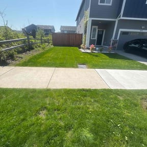 grass cutting by Pristine Properties LHS reviewed on December 24, 2024