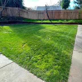 yard care by Manny los Lawn Care Services reviewed on August 18, 2025