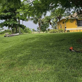 yard care by St Charles Services reviewed on August 17, 2025