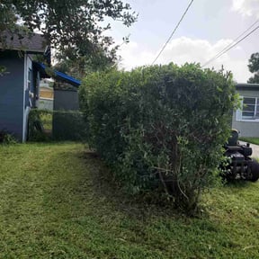 Bush Trimming by Meuniot Enterprises reviewed on August 14, 2025