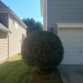 Bush Trimming by Ricks landscaping reviewed on November 24, 2025