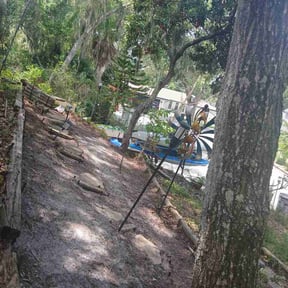 Leaf Removal by Nivea Cut With Care Lawn Services reviewed on August 18, 2026
