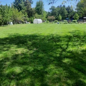 lawn maintenance by Young's Lawn Care Services reviewed on September 10, 2023