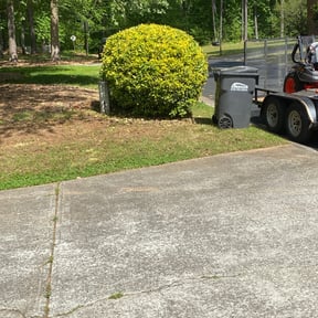 Bush Trimming by Green Earth Landscaping LLC reviewed on August 21, 2025