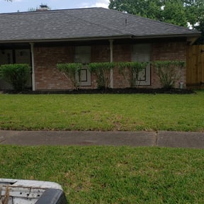 Bush Trimming by Blue Diamond Cleaning Services reviewed on August 17, 2025