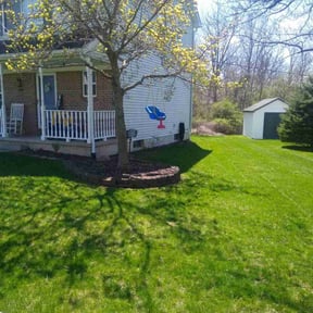 turf care by D&#039;s Lawn Care reviewed on December 8, 2023