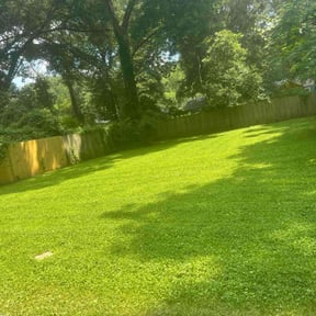 lawn care by Top Shape Ground Management, LLC reviewed on August 15, 2025