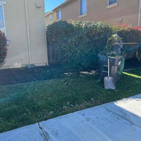 Bush Trimming by M & F Landscaping Services LLC reviewed on August 20, 2025