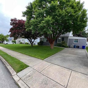 lawn service by The Williams reviewed on August 20, 2025