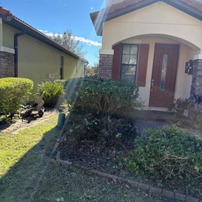 Bush Trimming by Pristine Properties LHS reviewed on February 2, 2026