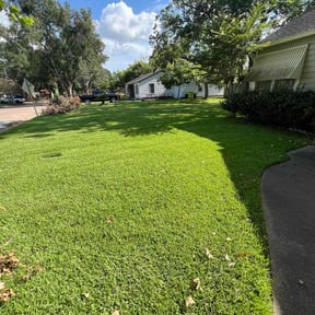 yard service by Self employed Lawn Care Service reviewed on February 18, 2026