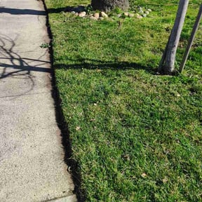 grass maintenance by B&R Elite Lawn Services reviewed on May 15, 2024