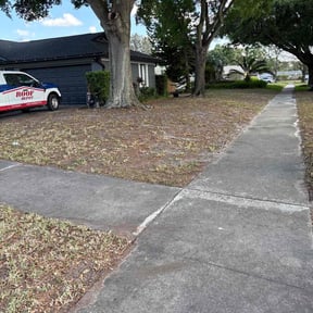 Leaf Removal by Leiva Earth works LLC reviewed on September 15, 2026