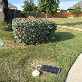 Bush Trimming by Cooper’s Lawn & Landscape LLC reviewed on August 21, 2025