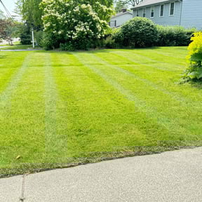yard maintenance by Glm landscaping reviewed on August 13, 2025