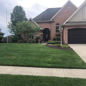 landscaping services by Simio's reviewed on August 17, 2025
