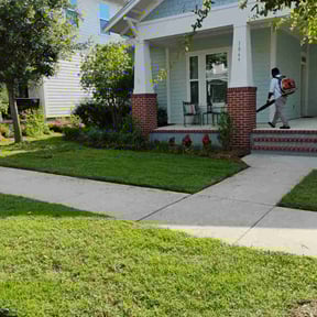 landscaping by Hugo Lopez Landscaping reviewed on August 21, 2025
