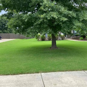 yard work by Clean Cut Grounds reviewed on August 21, 2025
